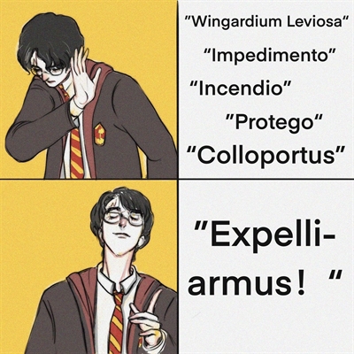 Harry Potter Brasil Memes