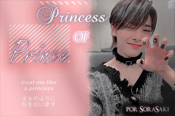 Fanfic / Fanfiction Princess of Prince