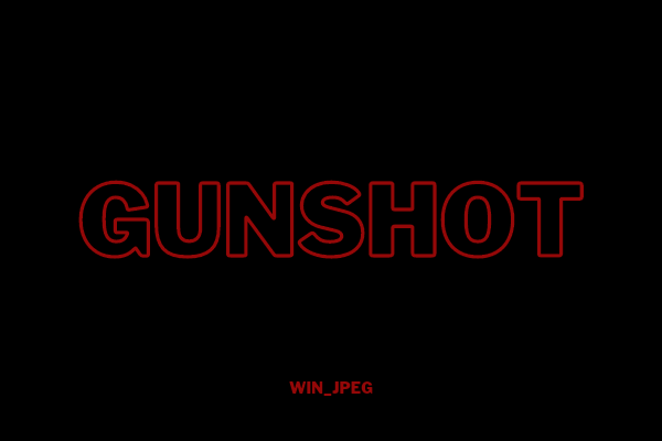 Fanfic / Fanfiction Gunshot