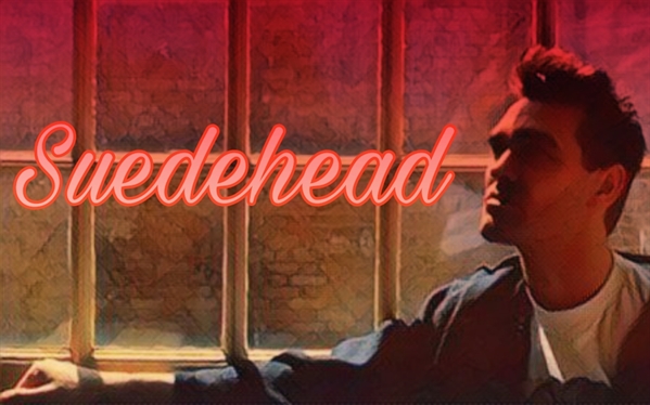 Fanfic / Fanfiction Suedehead