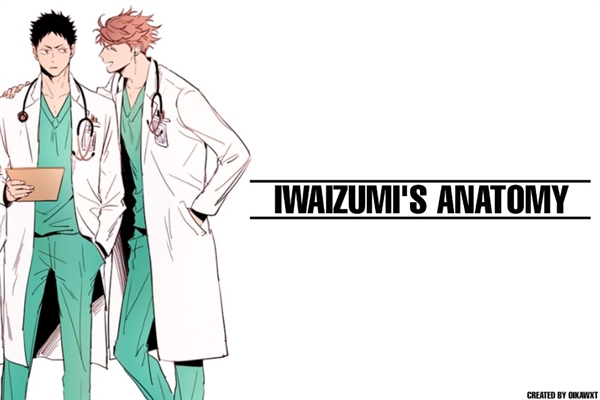 Fanfic / Fanfiction Iwaizumi's Anatomy