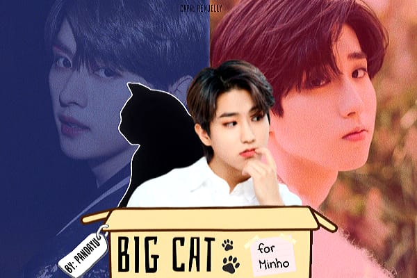 Fanfic / Fanfiction Big Cat - MinSung