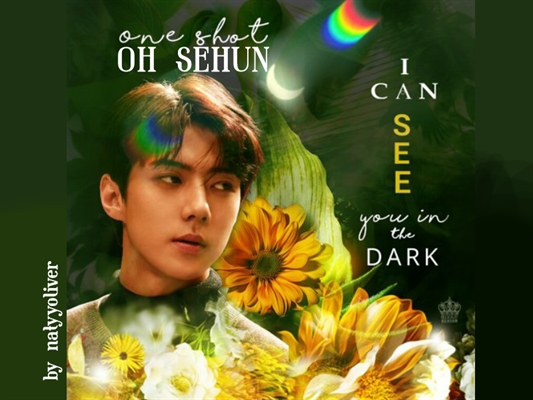 Fanfic / Fanfiction Oh Sehun Oneshot - I Can See You in The Dark