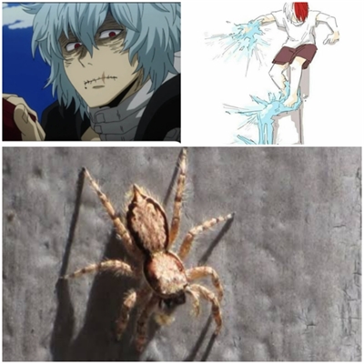 Fanfic / Fanfiction Shoto e Tomura tem medo de aranhas