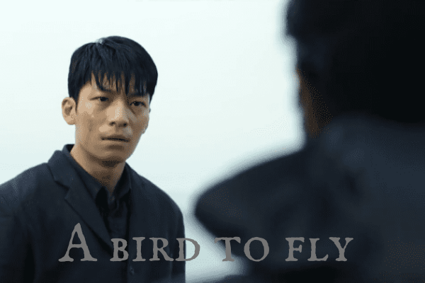 Fanfic / Fanfiction A bird to fly