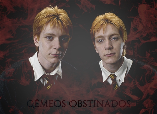 Fanfic / Fanfiction Gêmeos Obstinados - Imagines Irmãos Weasleys (Harry Potter)
