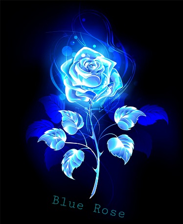 Fanfic / Fanfiction Blue Rose