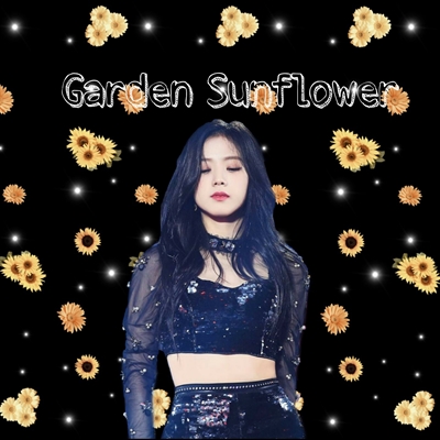 Fanfic / Fanfiction Garden Sunflower (Imagine Jisoo) (Blackpink)