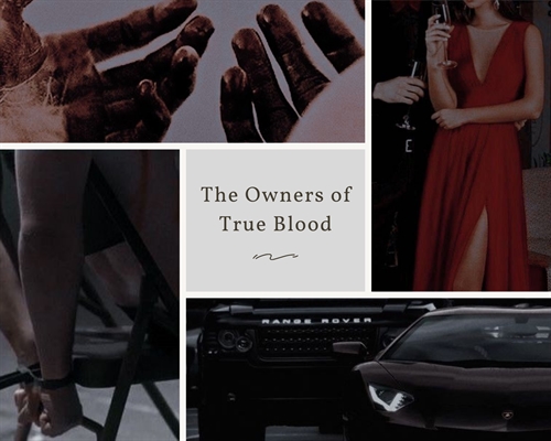 Fanfic / Fanfiction The Owners of True Blood