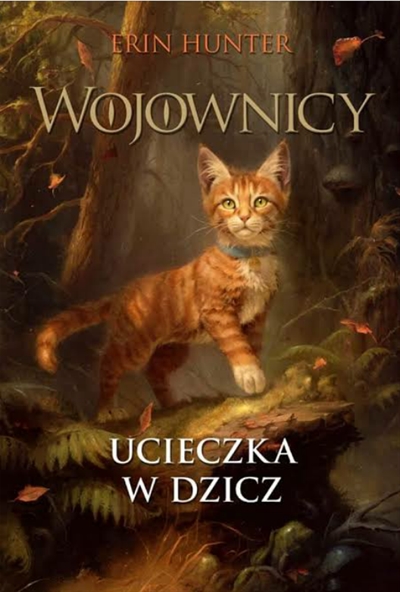 Gatos Guerreiros N.º 1 de Erin Hunter - Livro - WOOK