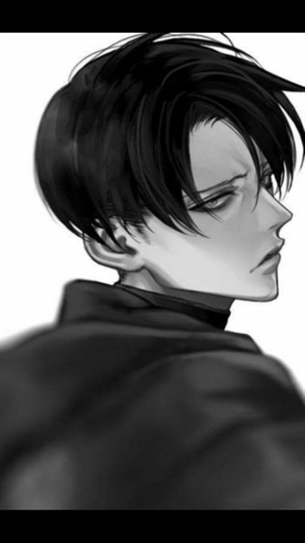 Fanfic / Fanfiction Nosso filho de uma noite (Levi x leitor)