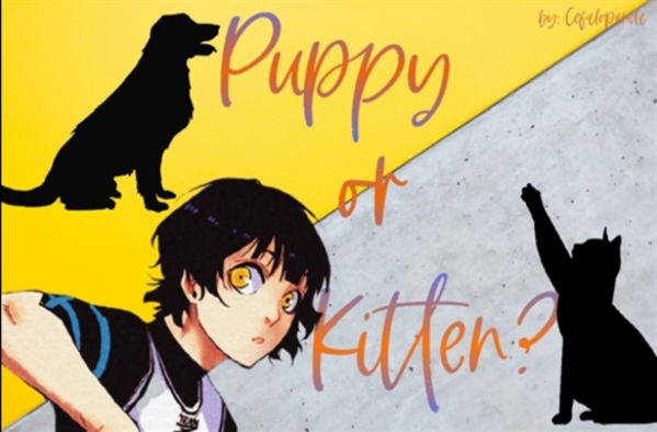 História Puppy or Kitten? - Imagine Bachira Meguru - Maybe both; - História  escrita por OANI - Spirit Fanfics e Histórias