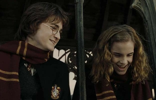 Fanfic / Fanfiction Harry Potter e o cálice de fogo