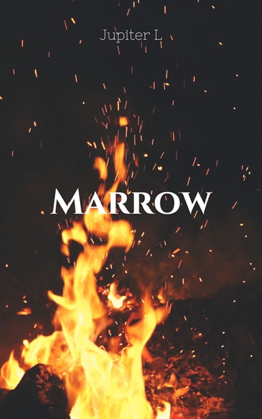 Fanfic / Fanfiction Marrow