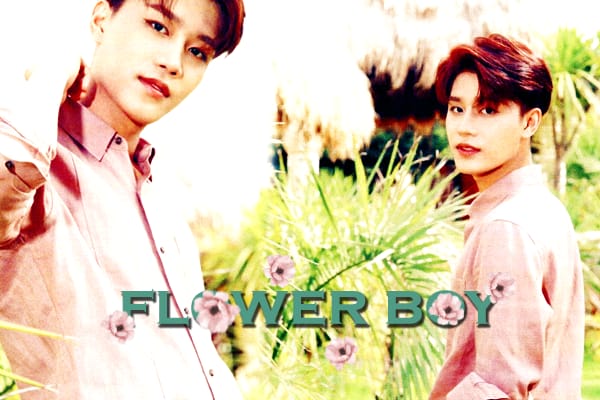 Fanfic / Fanfiction Flower Boy - Moon Taeil