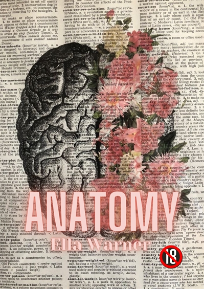 Fanfic / Fanfiction Anatomy