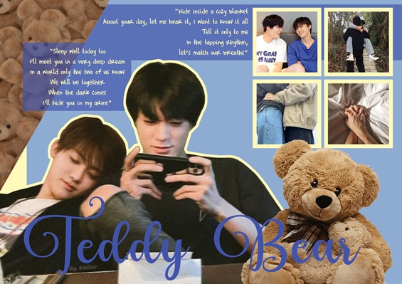 Fanfic / Fanfiction Teddy Bear - Nomin