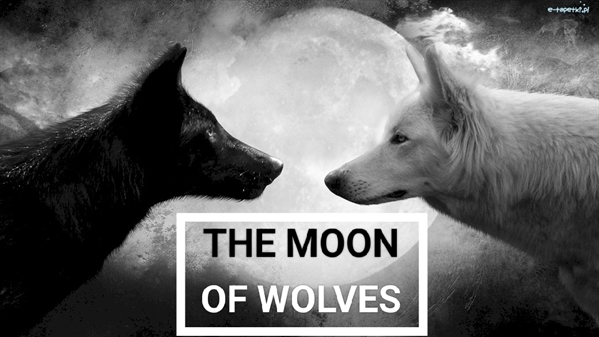 Fanfic / Fanfiction The moon of wolves