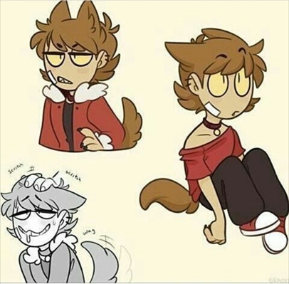 Fanfic / Fanfiction Tord Neko (TomTord)