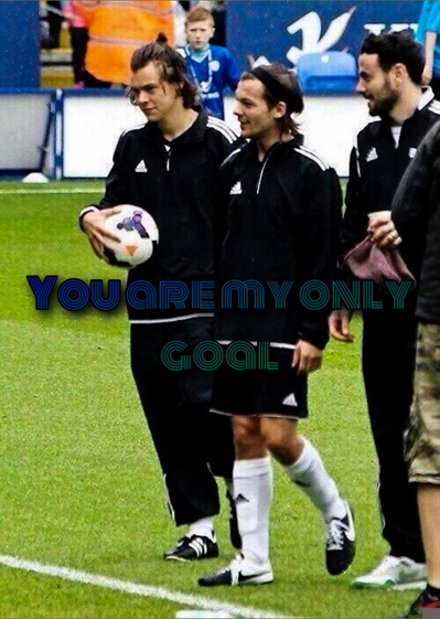 Fanfic / Fanfiction You are my only goal - Larry Stylinson