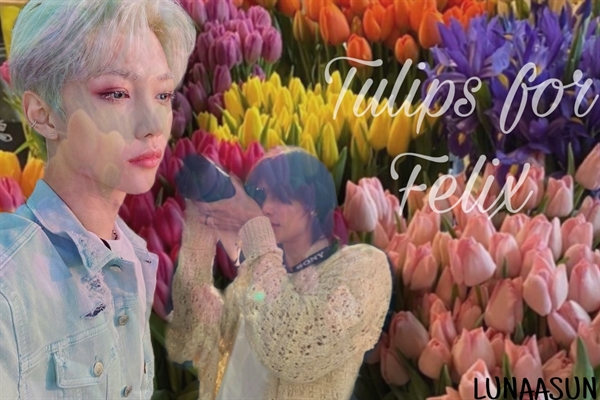 Fanfic / Fanfiction Tulips for Felix- Hyunlix