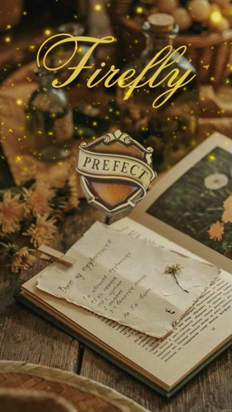Fanfic / Fanfiction Firefly --- George Weasley