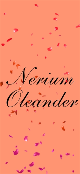 Fanfic / Fanfiction Nerium Oleander (Jikook)