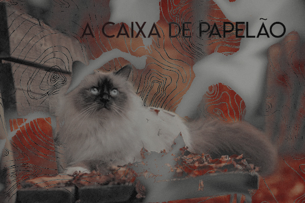 Fanfic / Fanfiction A Caixa De Papelão