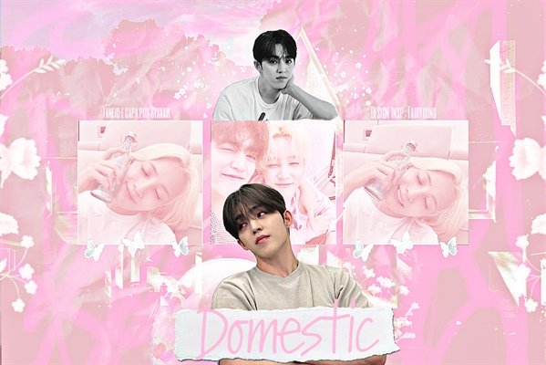 Fanfic / Fanfiction DOMESTIC - Jeongcheol