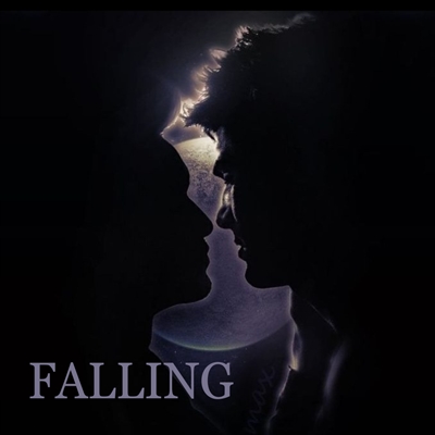 Fanfic / Fanfiction Falling - Malec