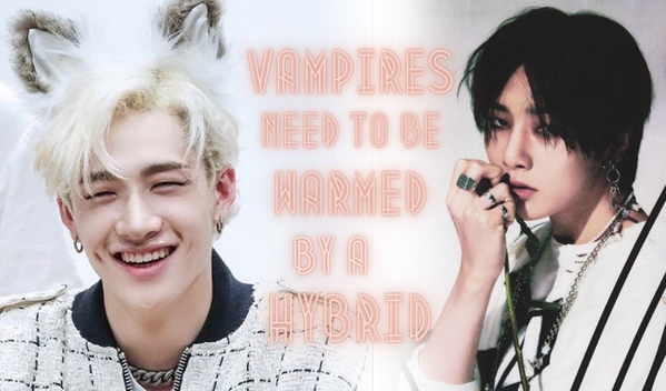 Fanfic / Fanfiction Vampires need to be warmed by a hybrid (ChanIn | BangChan Inter | Oneshot)