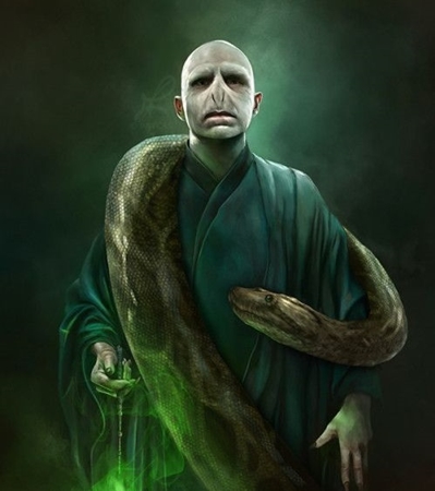 Fanfic / Fanfiction Lord Voldemort e a nivahssi secreta