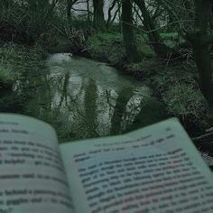 Fanfic / Fanfiction Esquecidos da Casa na Floresta