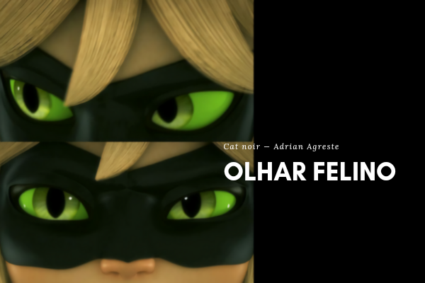 Fanfic / Fanfiction OLHAR FELINO - Cat Noir