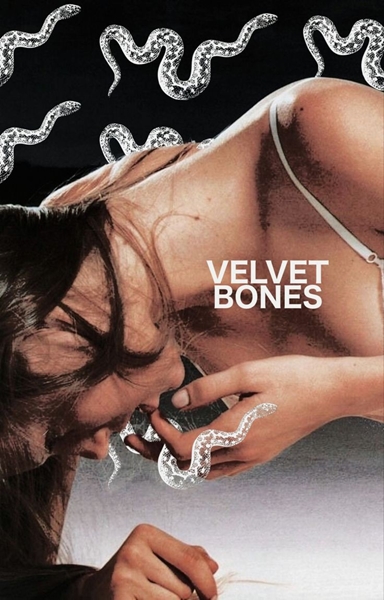 Fanfic / Fanfiction Velvet bones