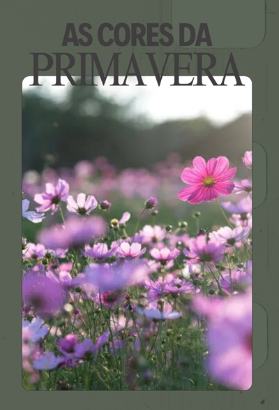 Fanfic / Fanfiction As Cores da Primavera