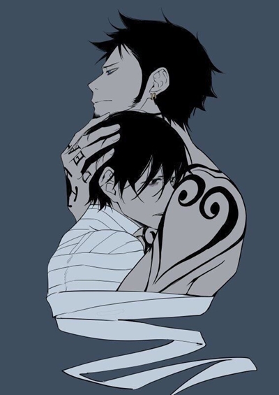 Fanfic / Fanfiction Encontro Destinado Luffy e Law