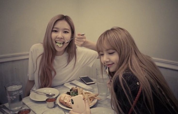 Fanfic / Fanfiction Eu não devia amar... (chaelisa
