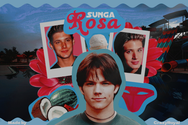 Fanfic / Fanfiction Sunga Rosa