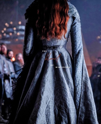 Fanfic / Fanfiction A Jornada de Sansa