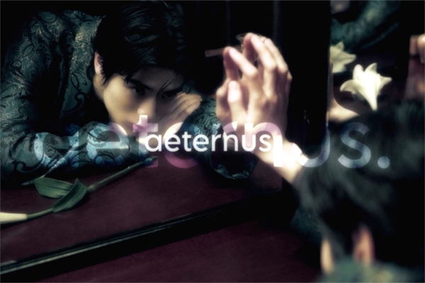 Fanfic / Fanfiction Aeternus