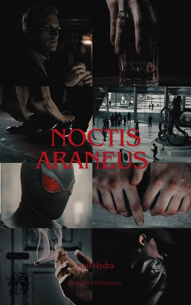 Fanfic / Fanfiction Noctis-Araneus