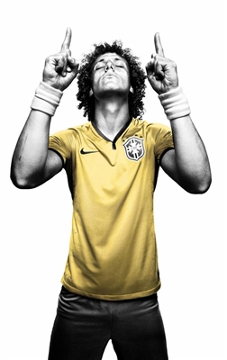 Fanfic / Fanfiction Diário de Uma Iniciante em Copa do Mundo - Fernanda - Por conta do trabalho e de tietar o David Luiz,