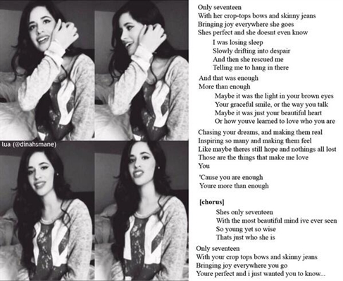 Fanfic / Fanfiction Letters To Camila - Seventeen
