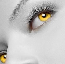 Fanfic / Fanfiction Fênix Negra - A garota de olhos dourados