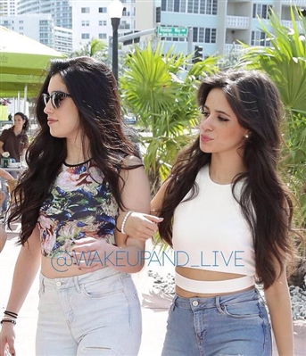 Fanfic / Fanfiction Letters To Camila - Segunda Temporada - Like a Sledgehammer