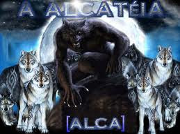 Fanfic / Fanfiction Virtur animale - Capitulo 1