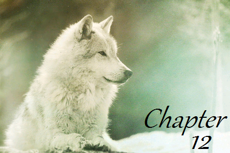 Fanfic / Fanfiction Wolf Moon - Chapter 12