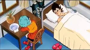 Fanfic / Fanfiction Será que é amor? - Hospital...ida pra casa...Vegeta e Bulma