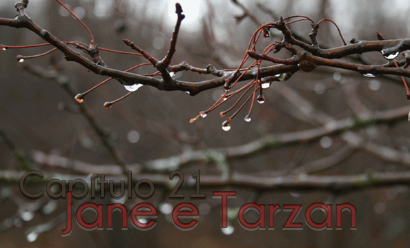Fanfic / Fanfiction Lumière - Jane e Tarzan